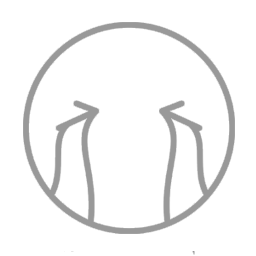 没有适合的结果