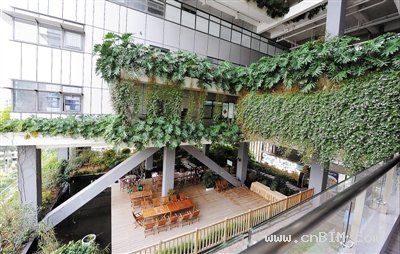 深圳绿房子越来越多