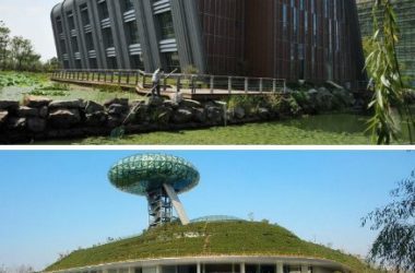 杭州绿色建筑拿了两个美国金奖-BIM建筑网