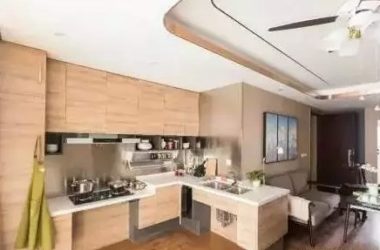 装配式建筑展现未来住宅可能性-BIM建筑网