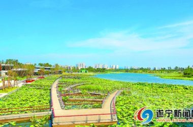 建市30周年 遂宁市住房和城乡建设局工作纪实-BIM建筑网