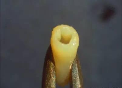 十张图看懂3D打印未来