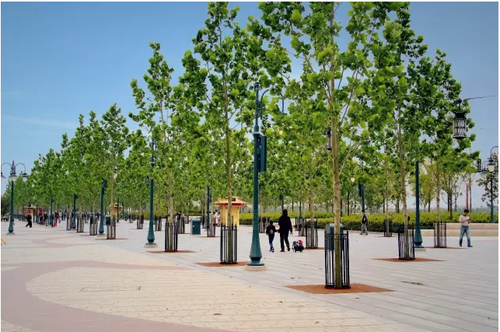 迪士尼施工用的这50种工具，想超越还得多“修炼”N年