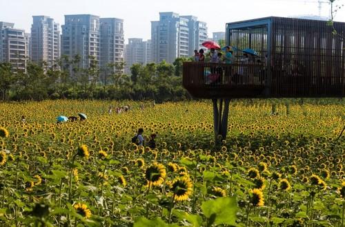2016年世界建筑节奖项提名公布，22个大类含中国建筑提名，土人景观、张迪、李道德等在列