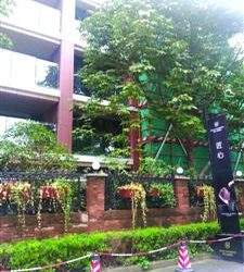 无需主动采暖就舒适的“被动房”来了-BIM建筑网