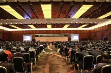 央视再发声！装配式建筑将成我国未来建筑模式！-BIM建筑网