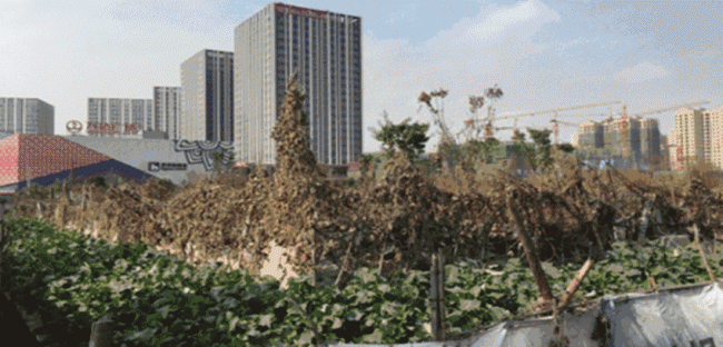 BIM案例 | BIM技术西南游记——中铁八局成都轨道交通9号线一期工程土建7标项目BIM技术 ...