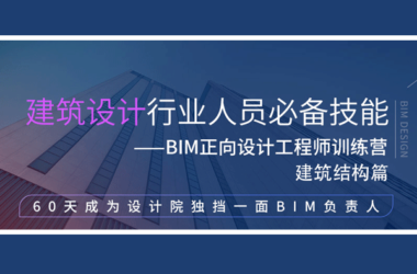 Revit建筑设计能力提升培训教程/Revit族制作教程/中级BIM培训视频教程-BIM建筑网