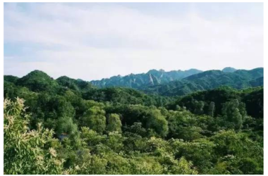 装配式|四个老男孩租下2500亩山谷  用集装箱搭出桃花源地-BIM建筑网