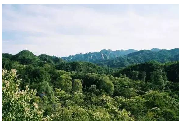 装配式|四个老男孩租下2500亩山谷 用集装箱搭出桃花源地 