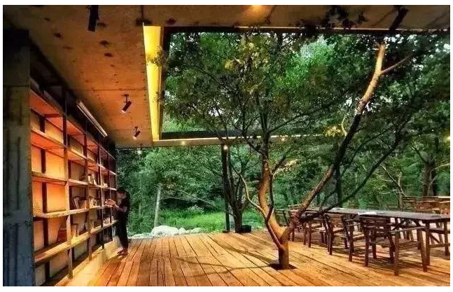 装配式|四个老男孩租下2500亩山谷 用集装箱搭出桃花源地 