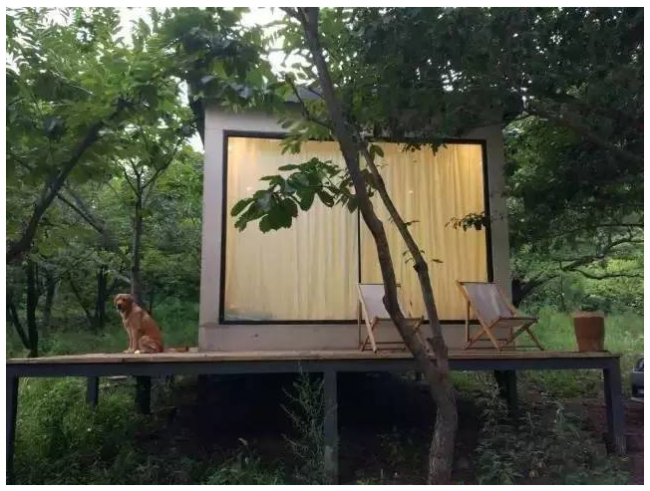 装配式|四个老男孩租下2500亩山谷 用集装箱搭出桃花源地 