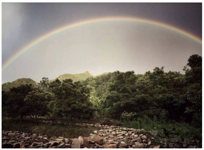 装配式|四个老男孩租下2500亩山谷 用集装箱搭出桃花源地 