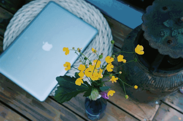 装配式|四个老男孩租下2500亩山谷 用集装箱搭出桃花源地 