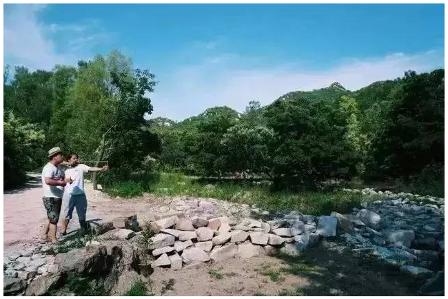 装配式|四个老男孩租下2500亩山谷 用集装箱搭出桃花源地 