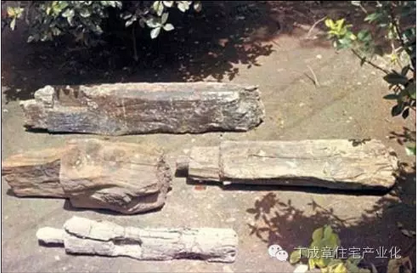 装配式|现代建筑方法及趋势（六）