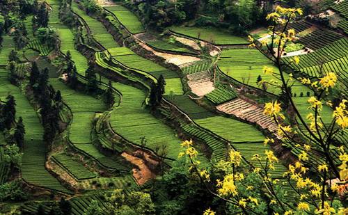 装配式|住建部发文推动2017年村镇建设，要点何在？