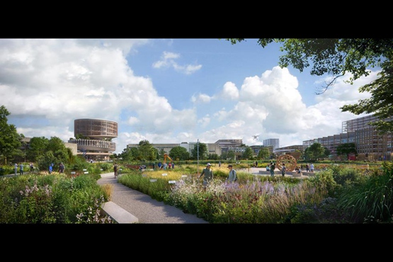 BIM|大牌建筑师展示都柏林大学设计方案