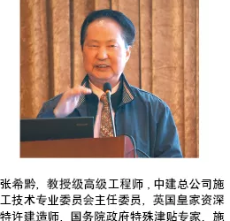 装配式|大型土木工程典型案例建造技术分享（海洋人工岛、超高层、管廊）-BIM建筑网