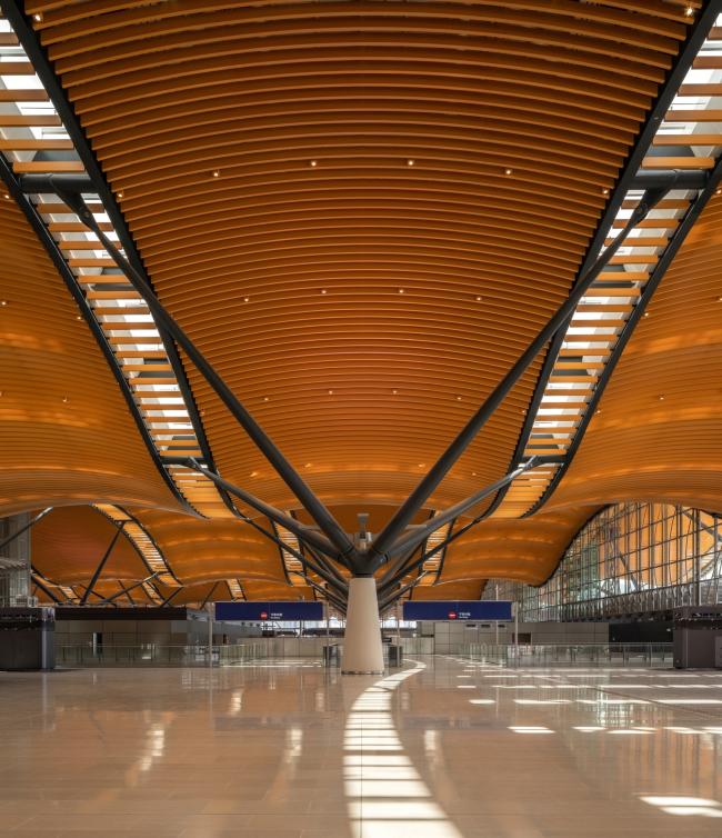 BIM建筑|珠澳年夜桥喷鼻口岸岸旅检年夜楼 / RSHP + Aedas