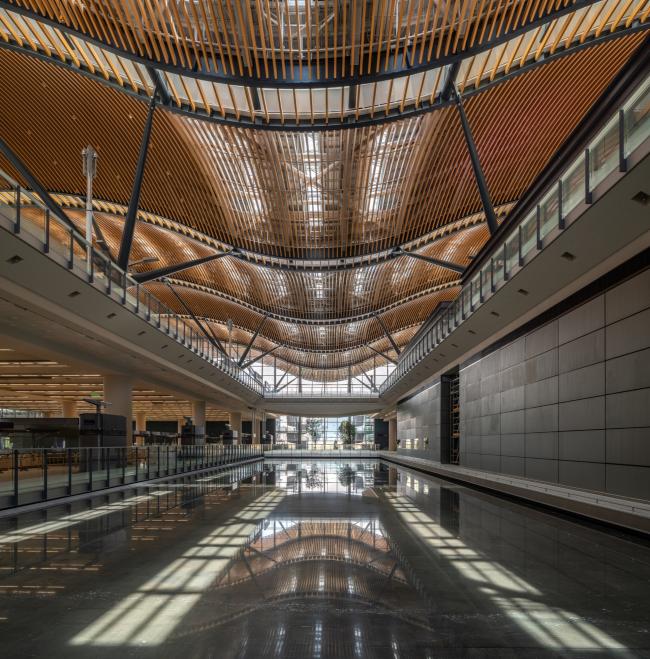 BIM建筑|珠澳年夜桥喷鼻口岸岸旅检年夜楼 / RSHP + Aedas