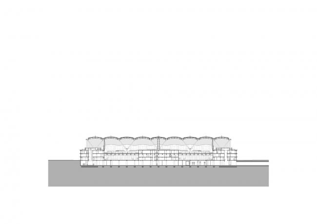 BIM建筑|珠澳年夜桥喷鼻口岸岸旅检年夜楼 / RSHP + Aedas