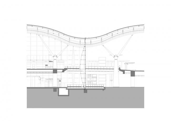 BIM建筑|珠澳年夜桥喷鼻口岸岸旅检年夜楼 / RSHP + Aedas