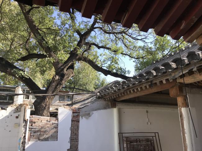 BIM建筑|“胡同智造”——四合院改革设计的实践