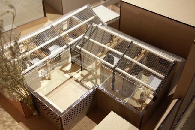 BIM建筑|“胡同智造”——四合院改革设计的实践