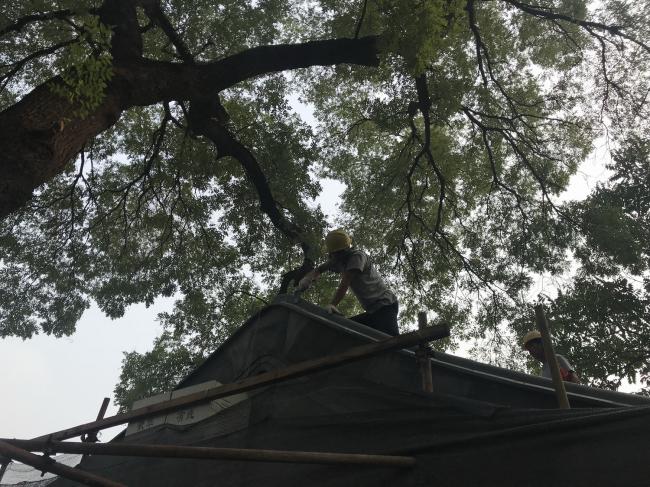 BIM建筑|“胡同智造”——四合院改革设计的实践