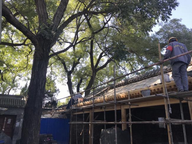 BIM建筑|“胡同智造”——四合院改革设计的实践