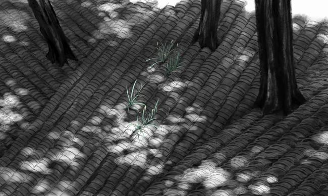 BIM建筑|“胡同智造”——四合院改革设计的实践