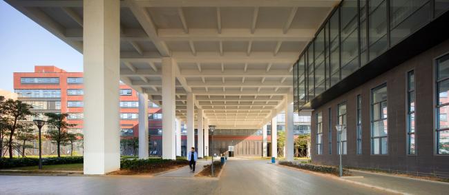 BIM建筑|东莞TP-LINK财产园 / 悉地国际21设计工作室&CIC新营业部