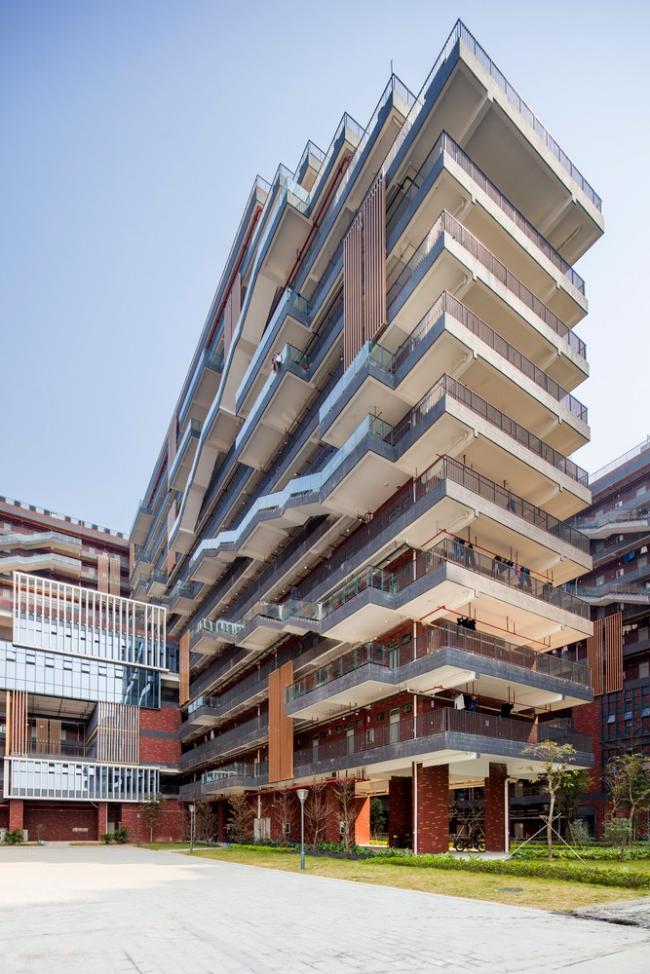 BIM建筑|东莞TP-LINK财产园 / 悉地国际21设计工作室&CIC新营业部