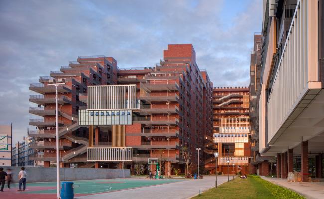 BIM建筑|东莞TP-LINK财产园 / 悉地国际21设计工作室&CIC新营业部