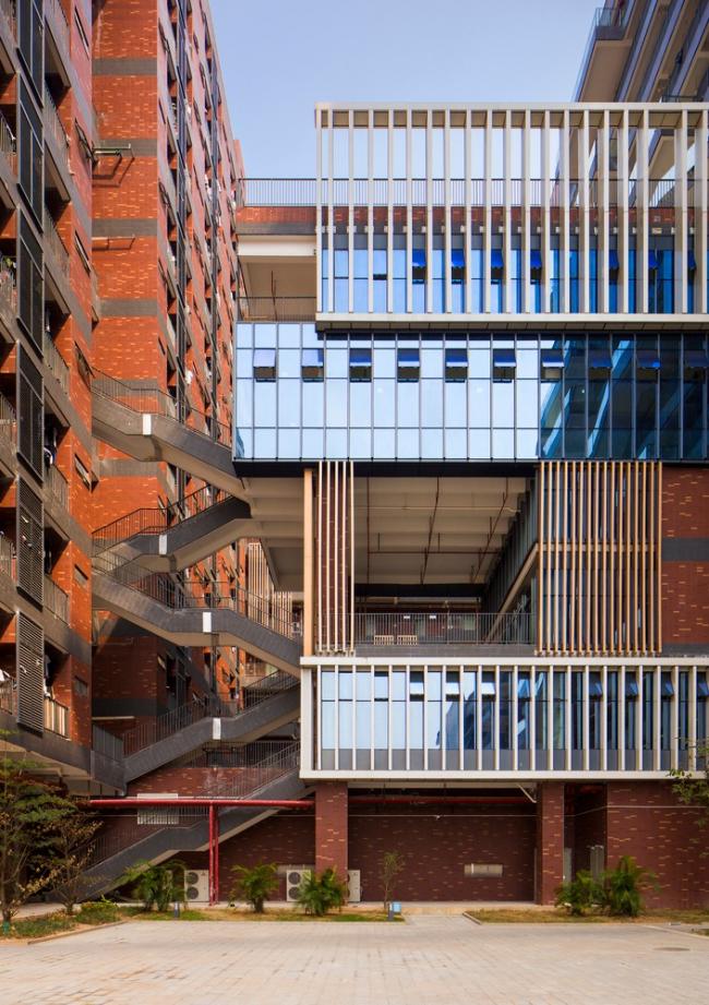 BIM建筑|东莞TP-LINK财产园 / 悉地国际21设计工作室&CIC新营业部