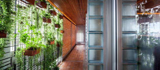 BIM建筑|由天然而生的空间垂直感/Junsekino建筑师事务所