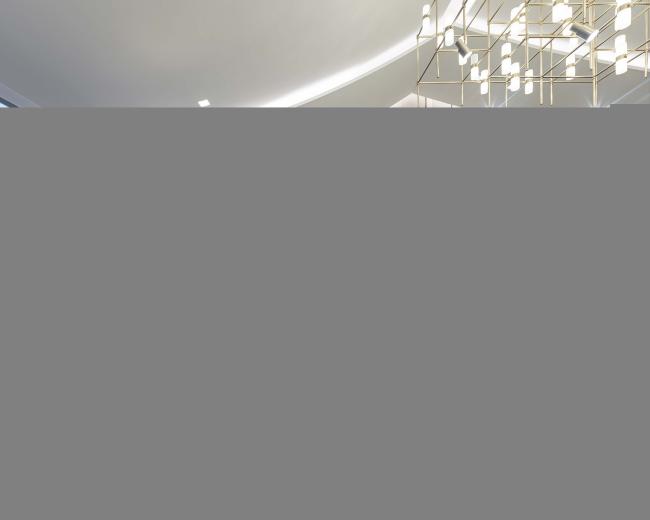 BIM建筑|gad作品 | 现代说话演绎传统空间——江南壹号院生涯体验馆