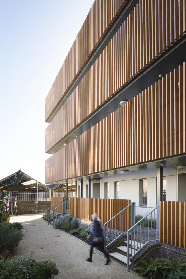 BIM建筑|Paxton 聚集室第 / alma-nac