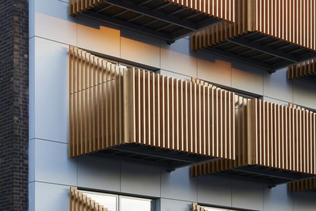 BIM建筑|Paxton 聚集室第 / alma-nac