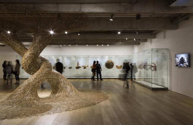 BIM建筑|隈研吾+FGMF 新作“漂浮的鱼鳞”——圣保罗日本屋