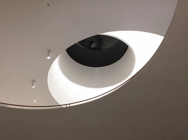 BIM建筑|旋曲空间谱写出活动的音乐——上海鹰集咖啡丰富里店 / 不迫建筑工作室