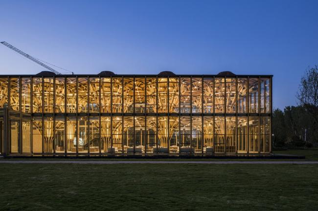 BIM建筑|枝桠交织有序的'树'状空间：河南珑府生涯体验中间 / 罗宇杰工作室