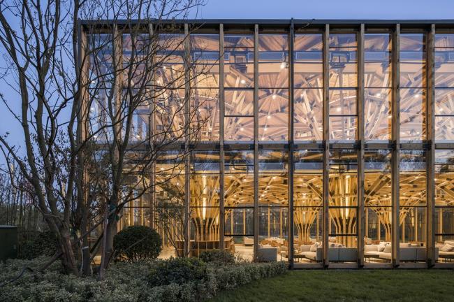 BIM建筑|枝桠交织有序的'树'状空间：河南珑府生涯体验中间 / 罗宇杰工作室