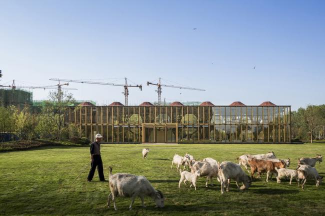 BIM建筑|枝桠交织有序的'树'状空间：河南珑府生涯体验中间 / 罗宇杰工作室