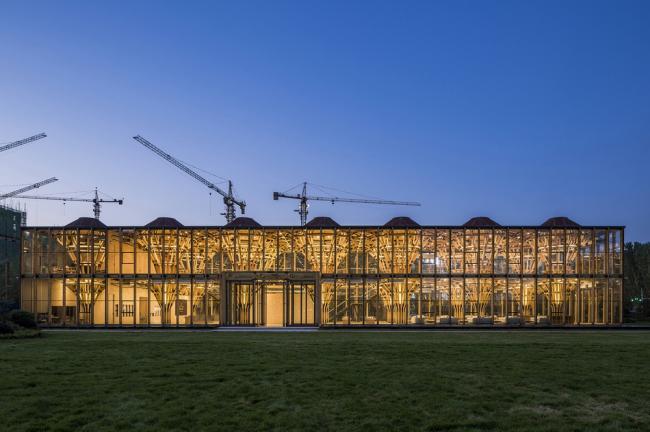 BIM建筑|枝桠交织有序的'树'状空间：河南珑府生涯体验中间 / 罗宇杰工作室