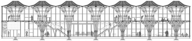 BIM建筑|枝桠交织有序的'树'状空间：河南珑府生涯体验中间 / 罗宇杰工作室