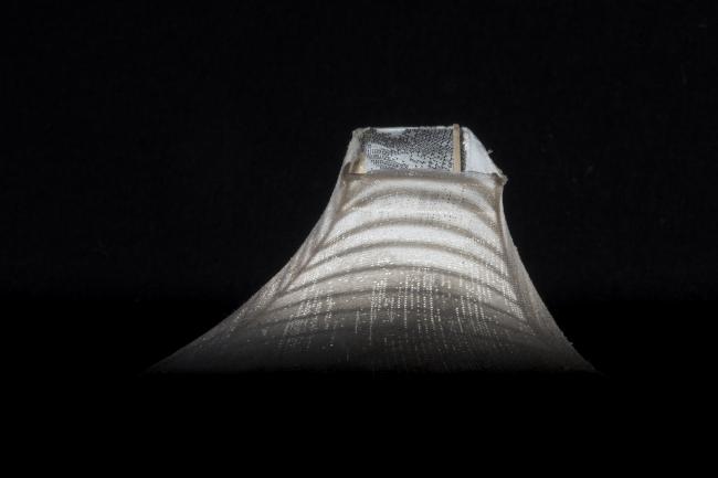 BIM建筑|弧曲屋顶瞻仰天空，栖身空间深埋年夜地——伦敦隐秘的花圃室第