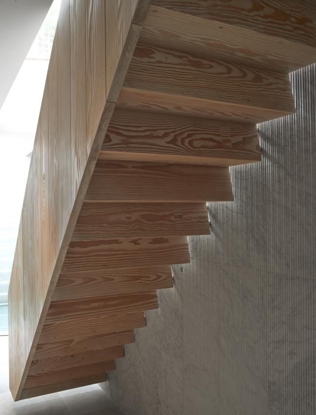 BIM建筑|弧曲屋顶瞻仰天空，栖身空间深埋年夜地——伦敦隐秘的花圃室第