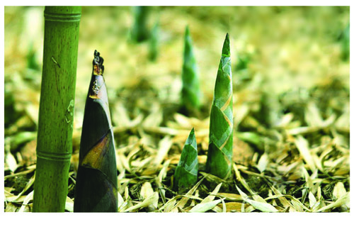 BIM建筑|Aedas设计台湾NTC商贸中间彰显文化意向——中国台中NTC商贸中间